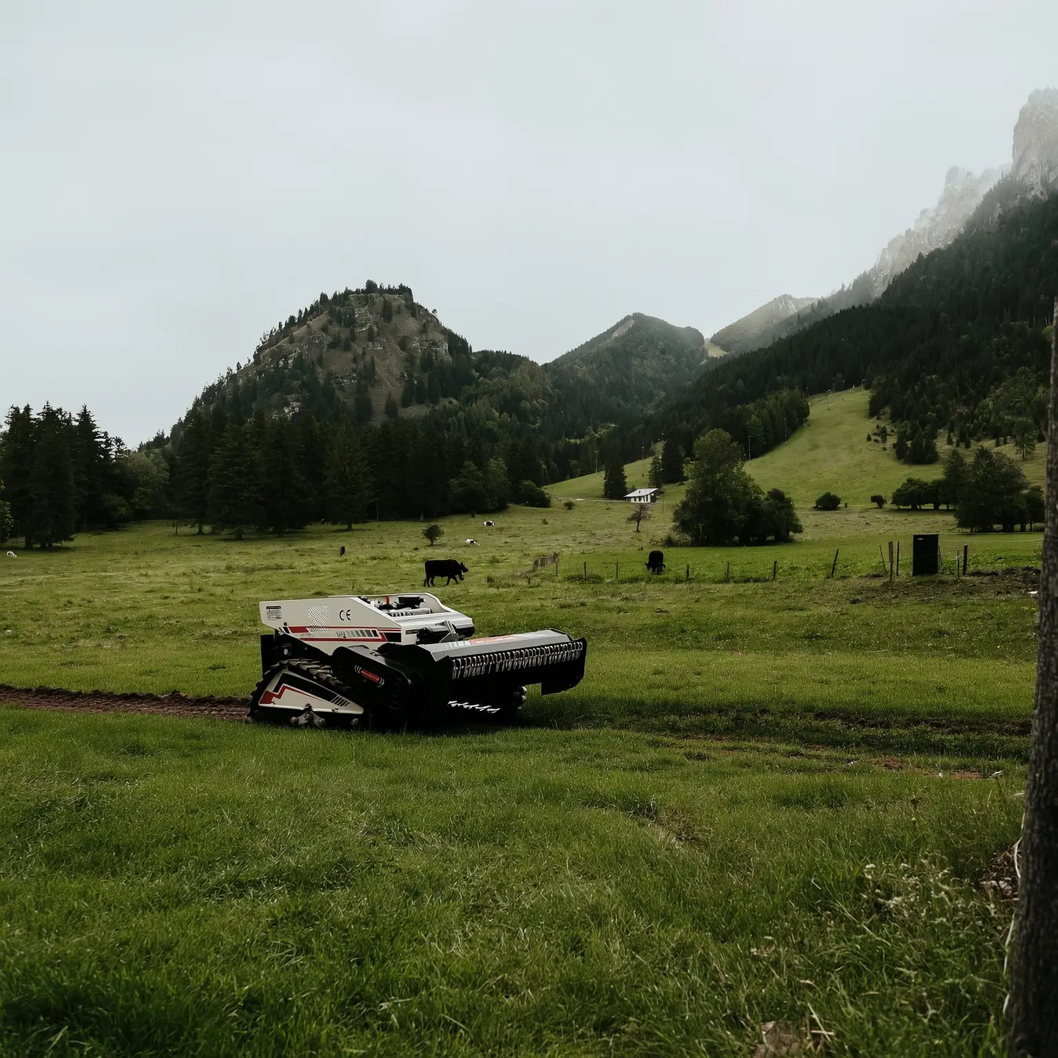 HL-1000F vs HL-800F: How to Choose Your Remote-Controlled Lawn Mower